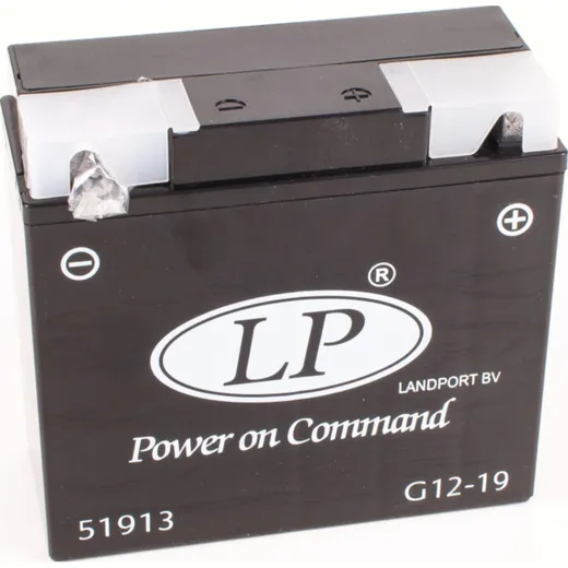 G12-19 DIN51913/52015 12V/21AH "für BMW" GEL Batterie 183x79x171mm