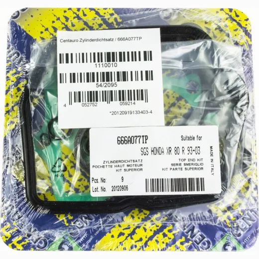 cylinder gasket set / 666A077TP