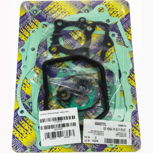 motor gasket set / 666A108FL