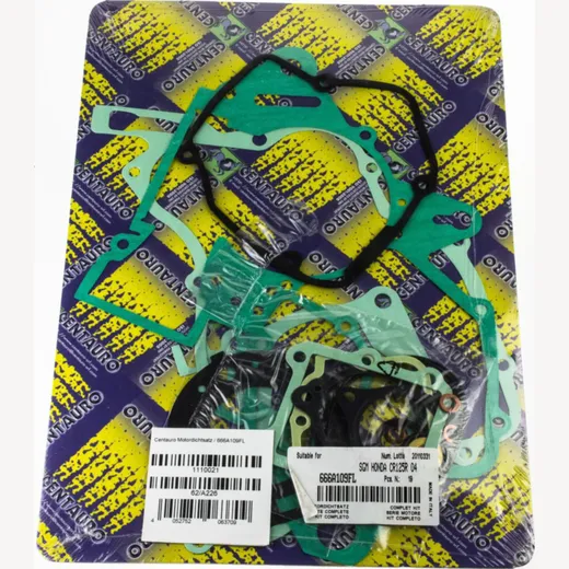 motor gasket set / 666A109FL