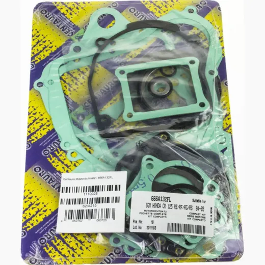motor gasket set / 666A132FL
