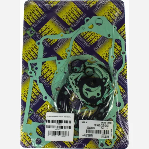 full gaskets set / 666A300FL