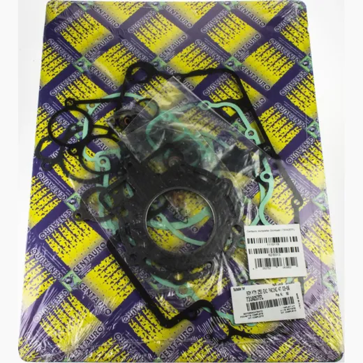 full gaskets set / 731A257FL