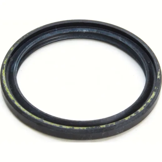 11791762_1