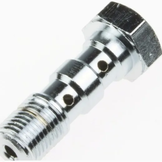 double banjo bolt M10x1.00 (für Brembo) MCH 961 C