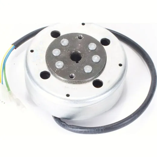 Generator + flywheel 1270316