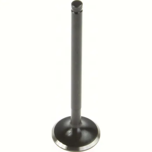 Outlet valve OEM 12005-1052