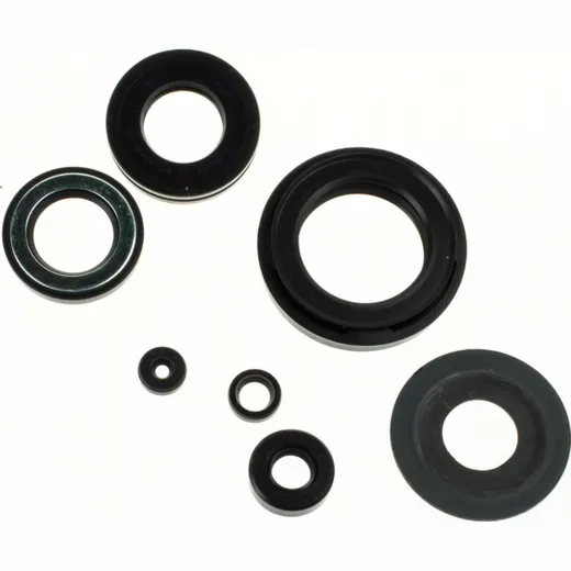 Engine oilseal set (6 pieces)