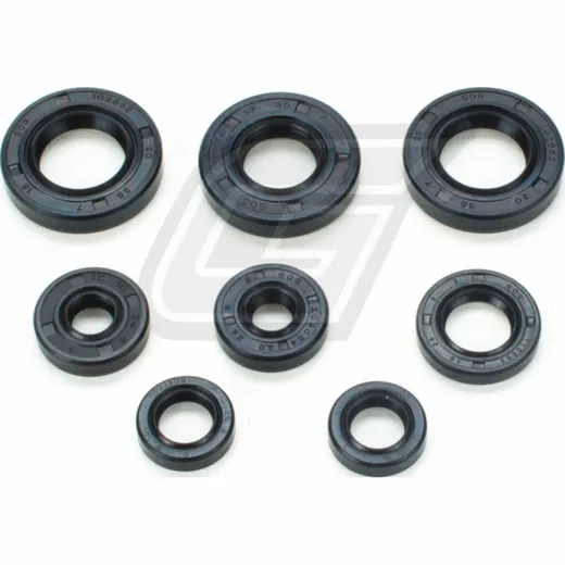 engine oil seal set for Derbi EBE, EBS