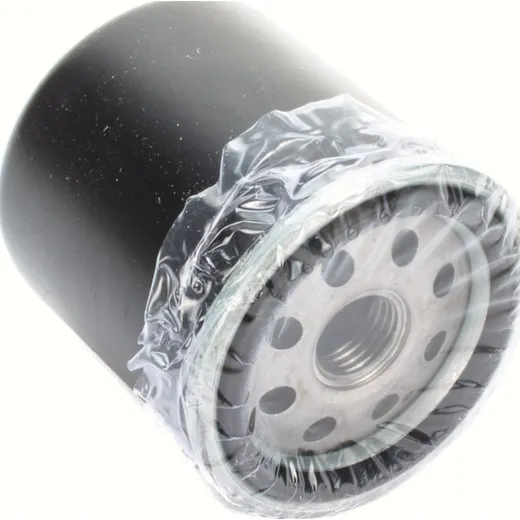 Motorölfilter Ölfilter für Maxi-Roller 4-Takt für: Piaggio-Motor