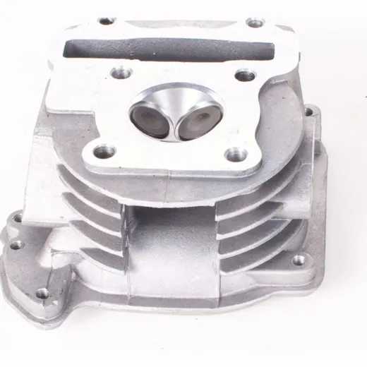 Zylinderkopf mit SLS für GY6 139QMB