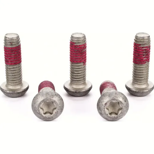 brake disc bolts MSS 113-5 M8x1,25 length 25mm (5 pcs.)
