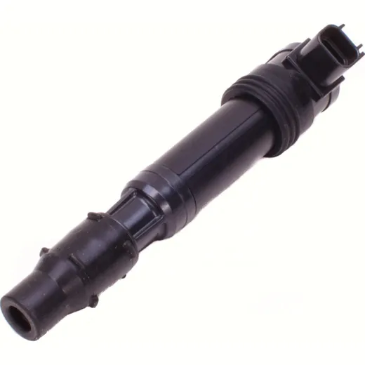 Plug hole ignition coils IGN-427P ( OEM Comp.No.: 211711272 )