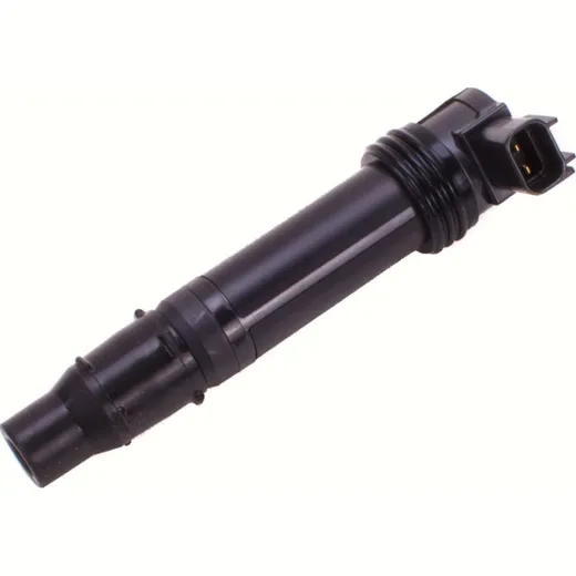 Plug hole ignition coils IGN-429P ( OEM Comp.No.: 211710021 )