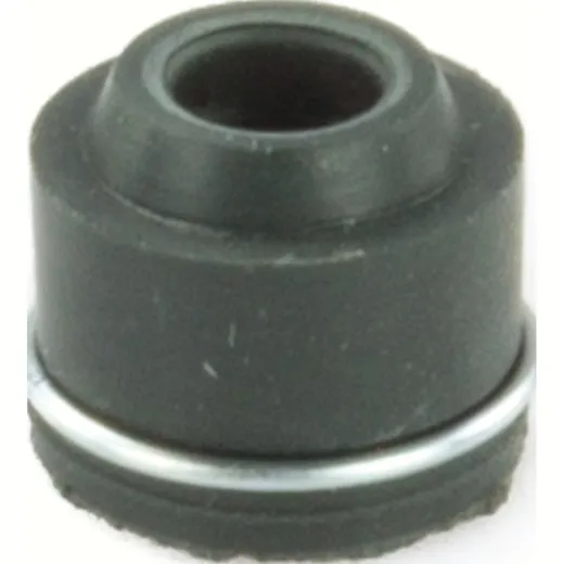 valve body seal 10 pc