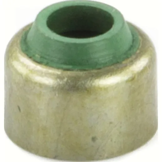 Valve body seal 10 pc (compare no. 4SV1211900)
