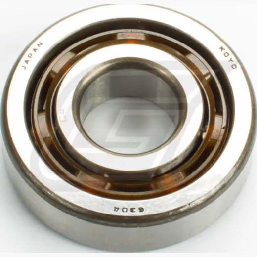 Bearing 6304 C4 FG