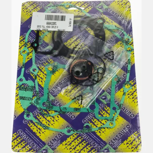 Motor gasket set / 666A120FL