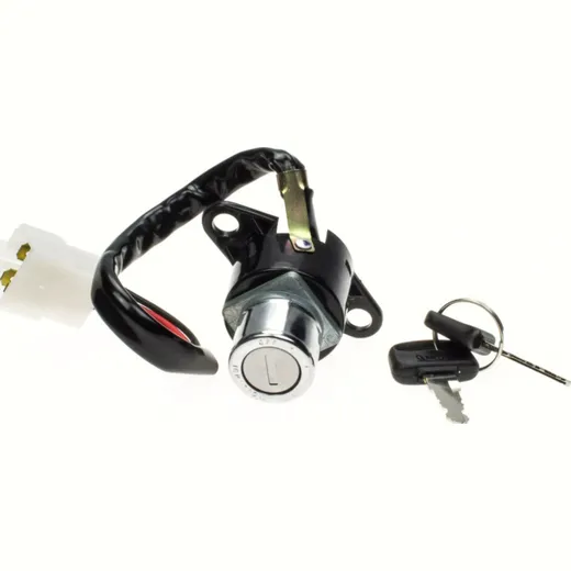 ignition switch 2571009