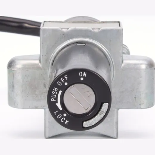 ignition switch 2571010