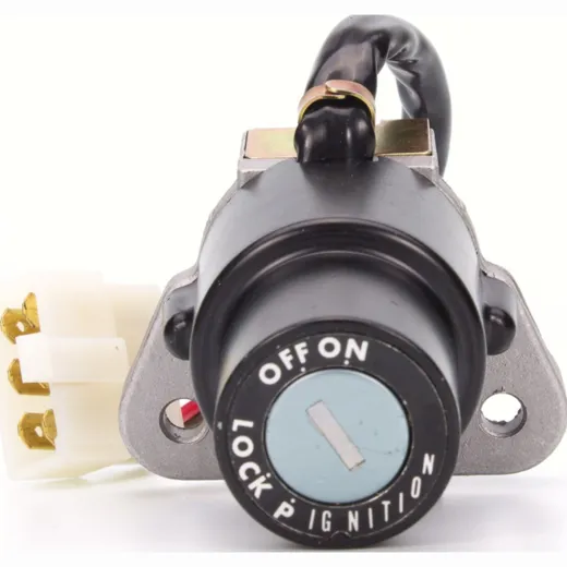 ignition switch 2571012