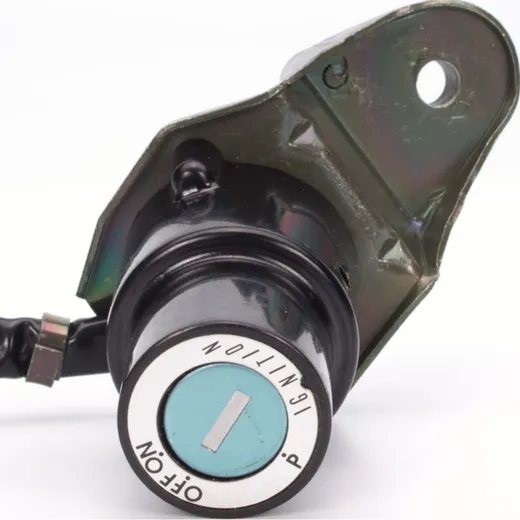 ignition switch 2571018
