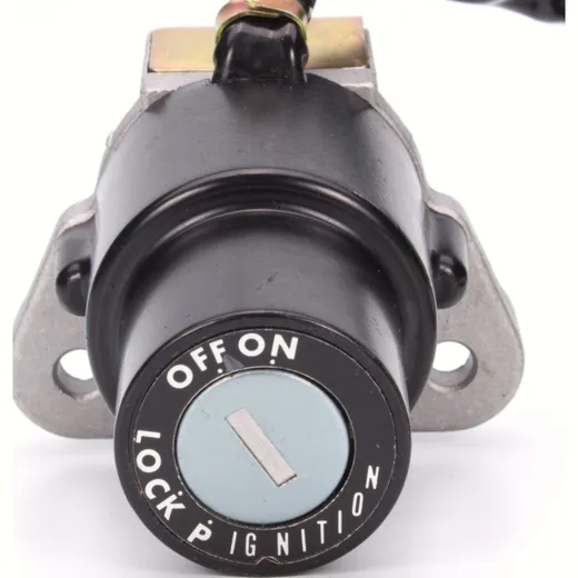 ignition switch 2571022