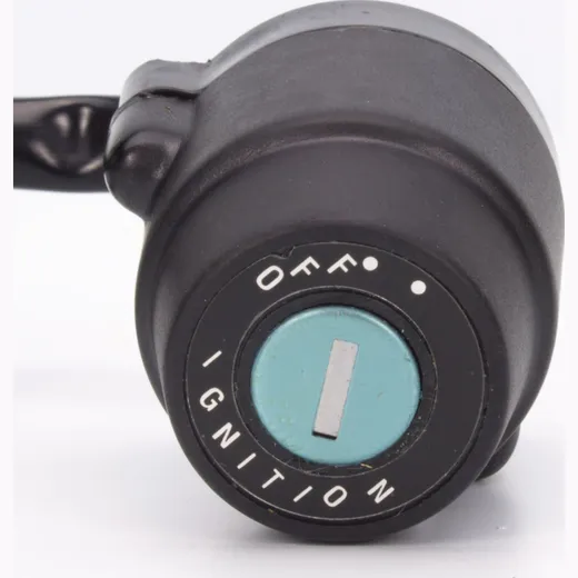 ignition switch 2571023