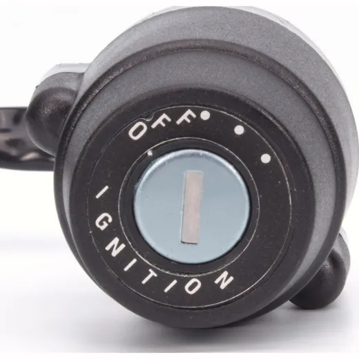 ignition switch 2571024