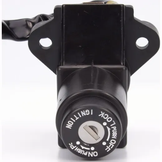 ignition switch 2571029