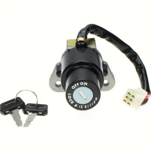 ignition switch 2571033