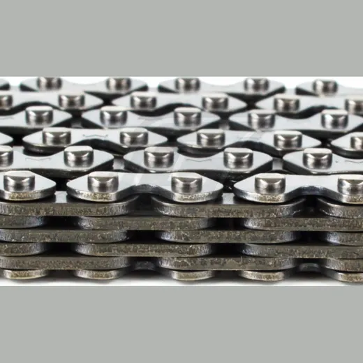 35500646_1