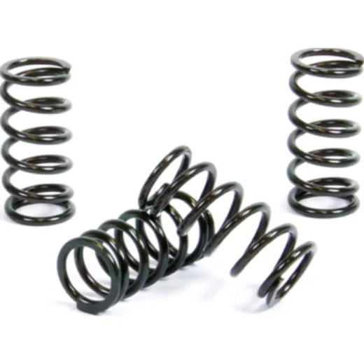 Kupplungsfedern Set für CRF150R '07-20
