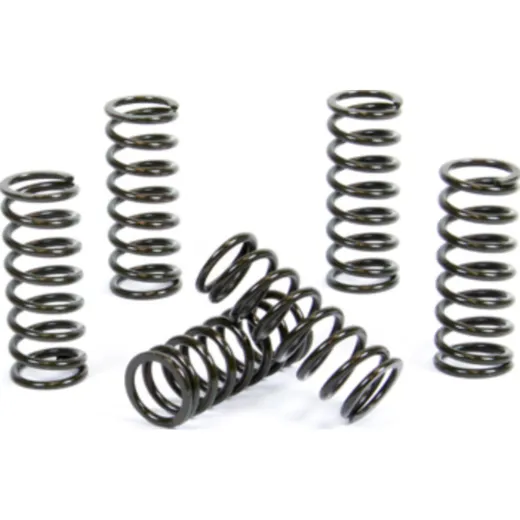 Kupplungsfedern Set für RM250 '96-97