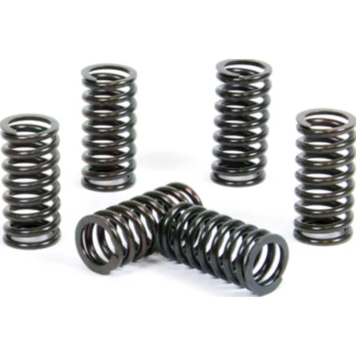 Kupplungsfedern Set für RM250 '98-05