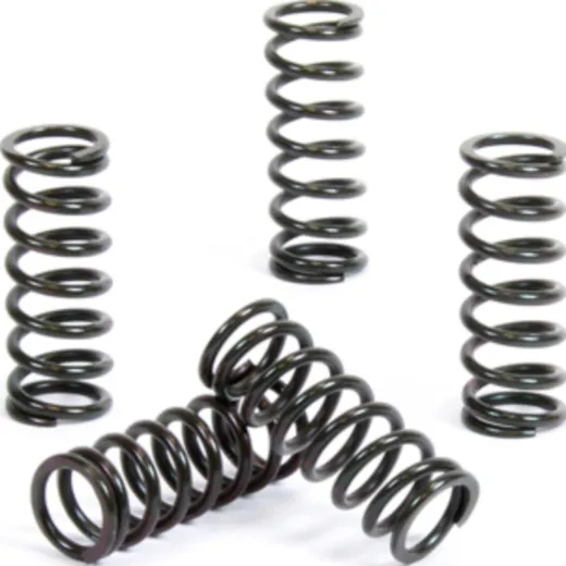 Kupplungsfedern Set für RM80/85 '89-20