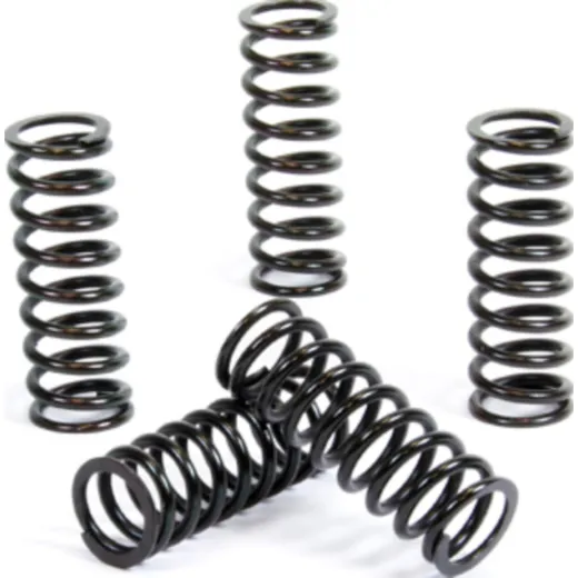 Kupplungsfedern Set für RM-Z250 '07-09