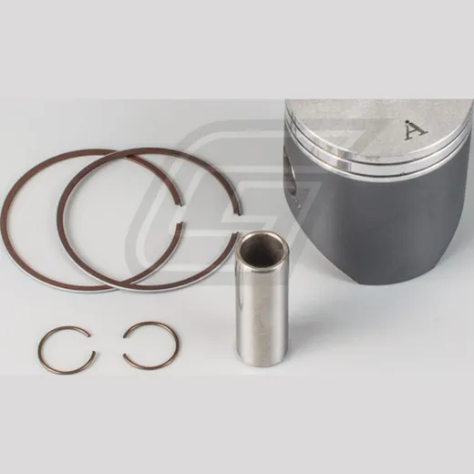 piston kit for KTM125SX '07-20 + KTM125EXC '01-16 (53.94mm)