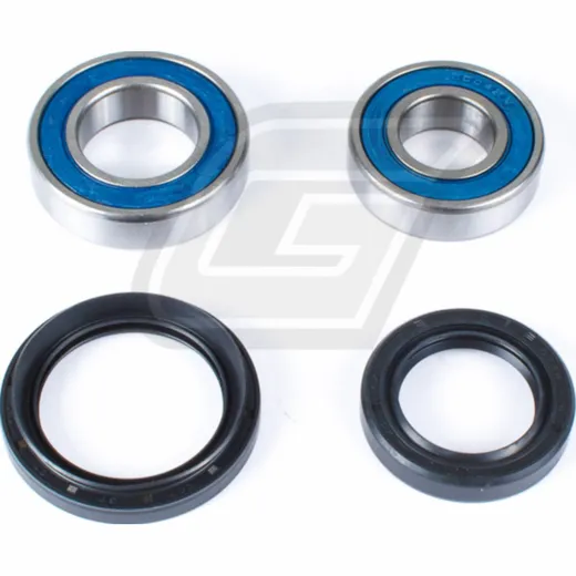 wheel bearing kit for TRX420TE/TM '07-13