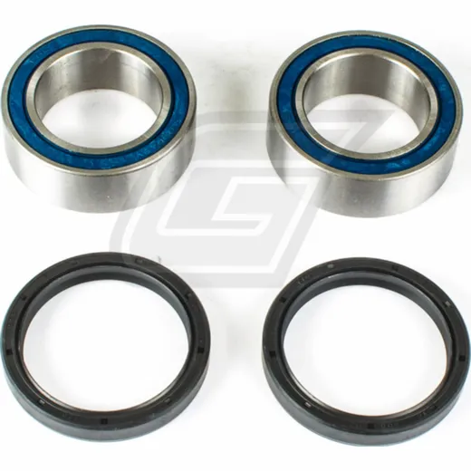 wheel bearing kit for DS450 '14-15