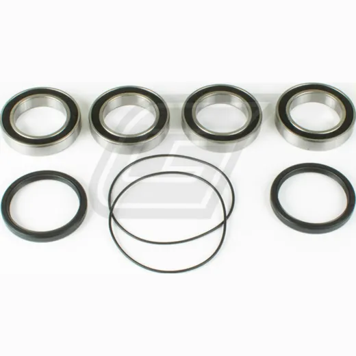 wheel bearing kit for LT-R450 '06-09