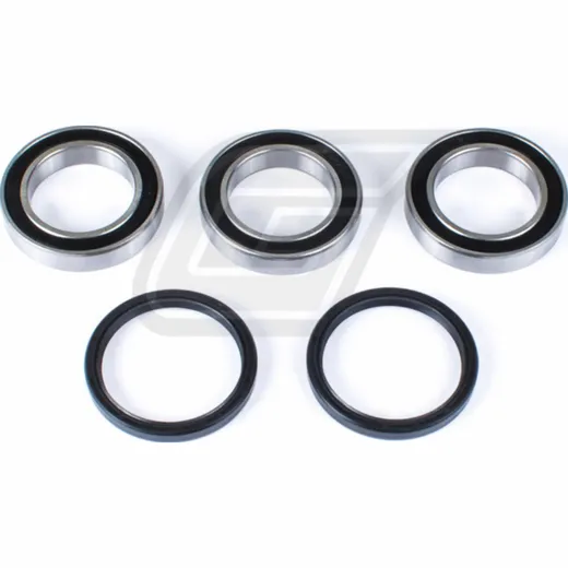 wheel bearing kit for TRX450ER '06-14
