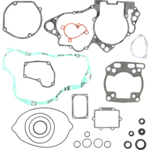 complete gasket kit for Suzuki RM250 '01