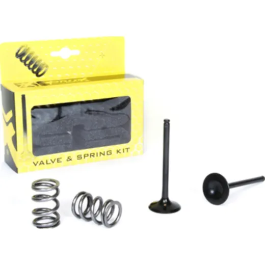 steel exhaust valve/spring kit for LT-R450 '06-11