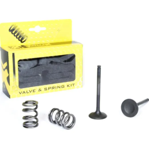 steel exhaust valve/spring kit for RM-Z450 '07