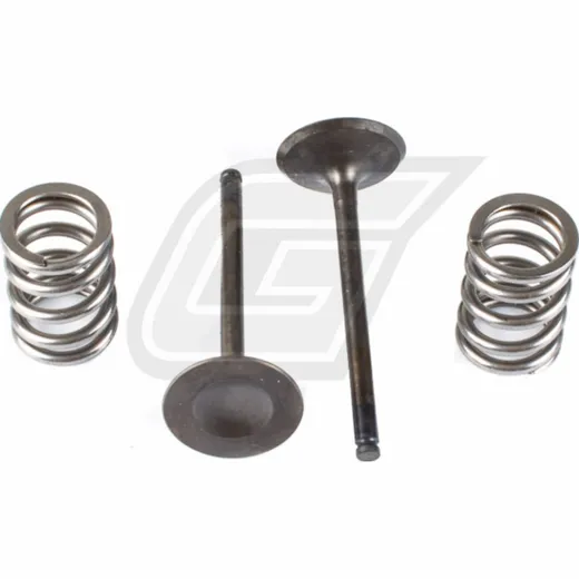 steel exhaust valve/spring kit for RM-Z450 '08-20 + RMX450Z