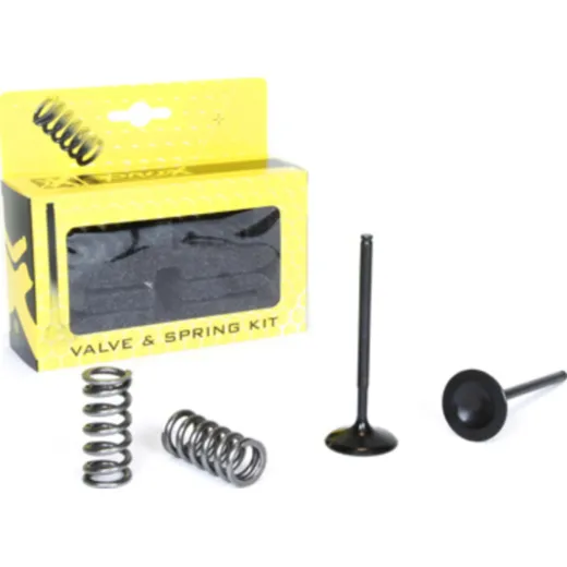 steel intake valve/spring kit for CRF250R '10-17