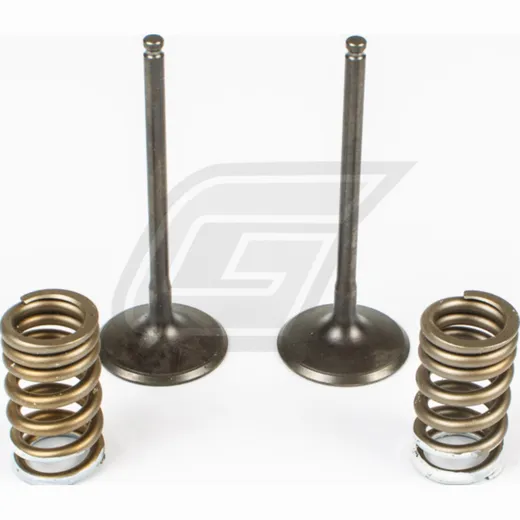 steel intake valve/spring kit for RM-Z250 '07-20