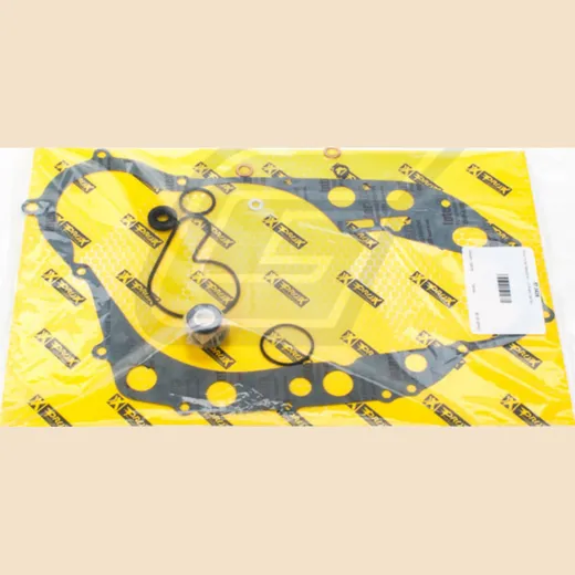 water pump rebuild kit for LT-R450 '06-09