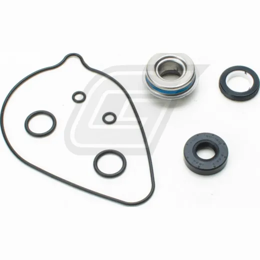 water pump rebuild kit for TRX420FA '09-16